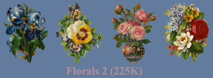 floral2.gif (14286 bytes)