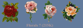 floral7.gif (12770 bytes)